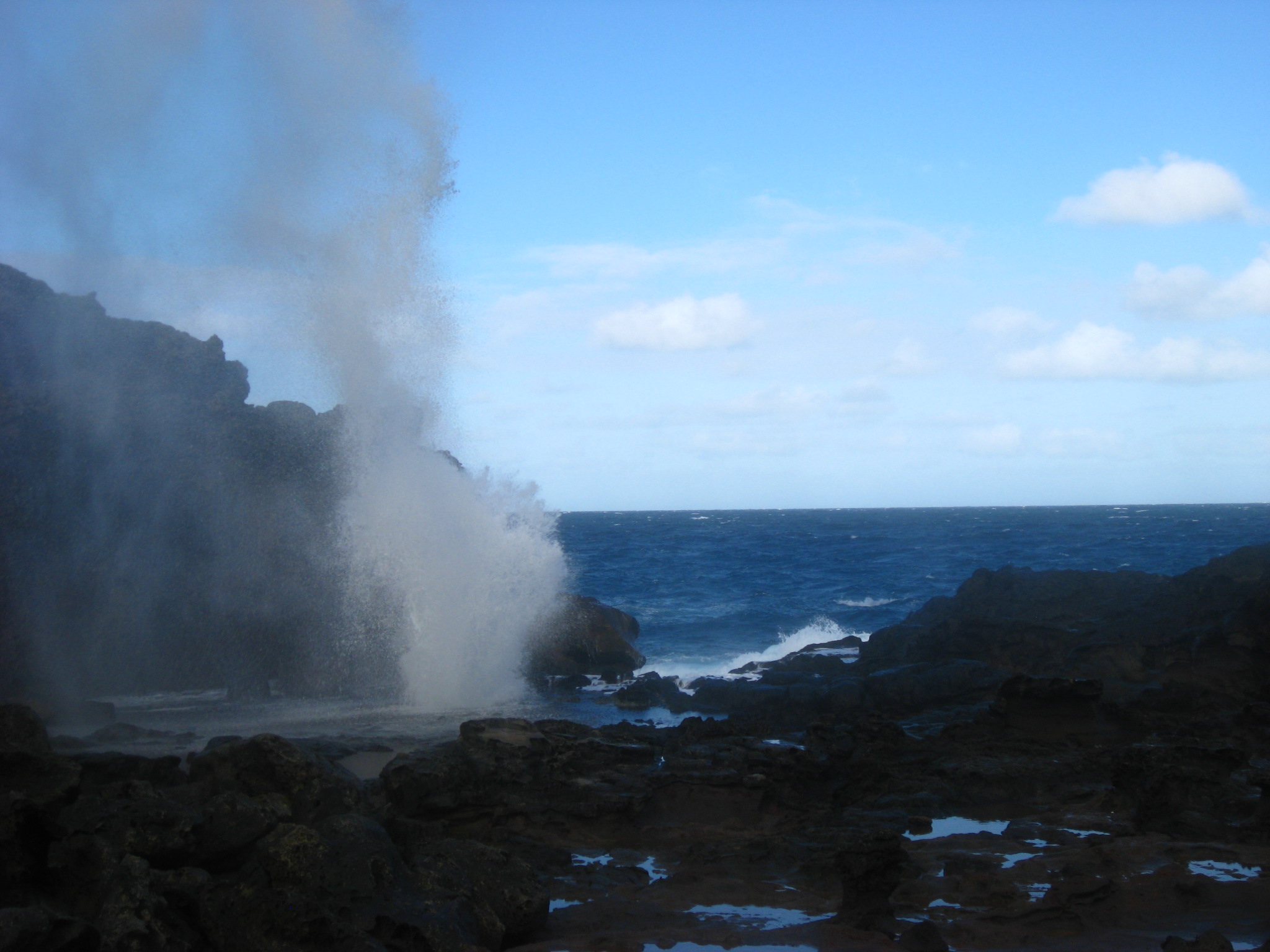 Blowhole was firing real nice