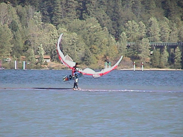 Look at this piece of shit leash!