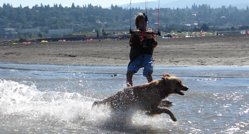 A Dog. A kids best friend.