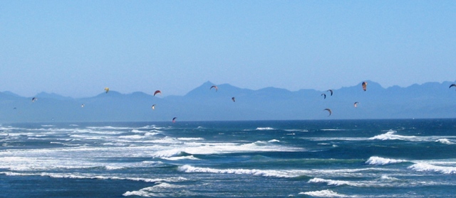 City of Kites at South Jetty