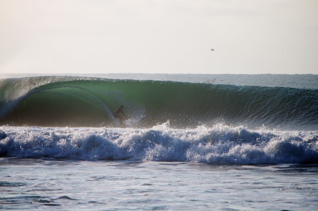 maybe some of this...south swell