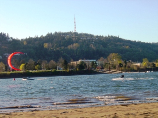 A warm 50 degrees and a north wind.