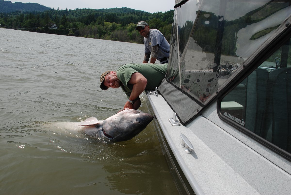 Caught just up stream from Rooser Rock.