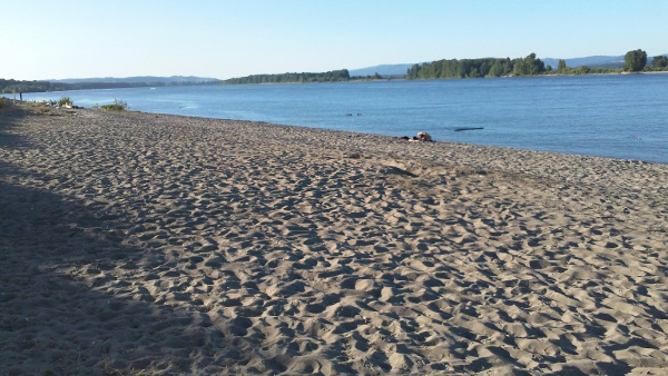 The new beach view.