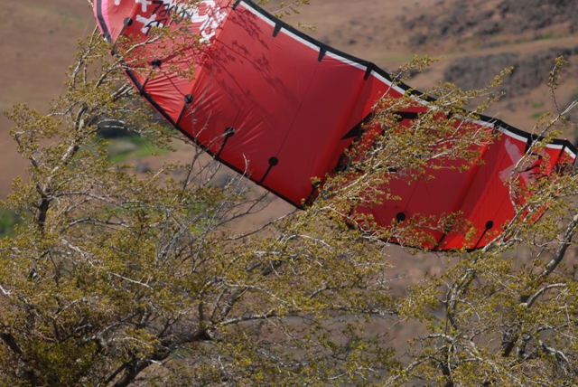And the kite survived!