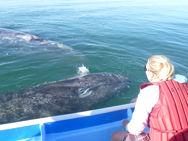 thats not a whales eye, is it?
