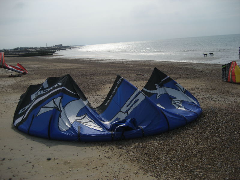 Waroo in the foreground, looking east.