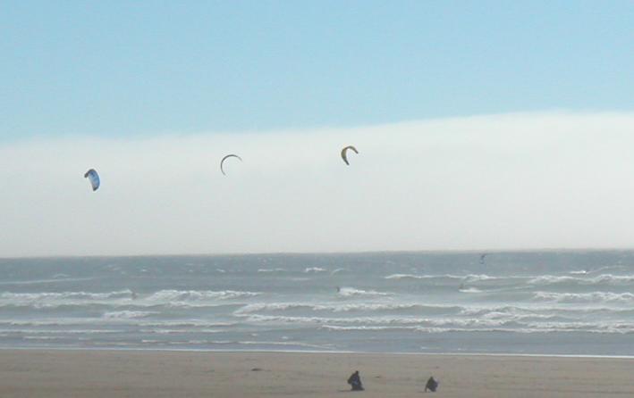 i counted ~20 kites on the water
