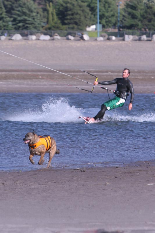 A Dog and his Boy...  Just who is in charge here anyway?