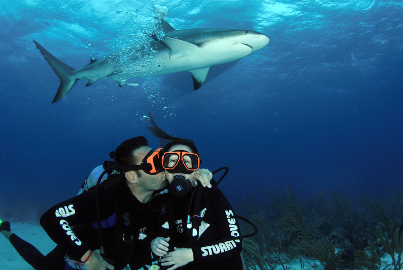 Mark, Julia and shark