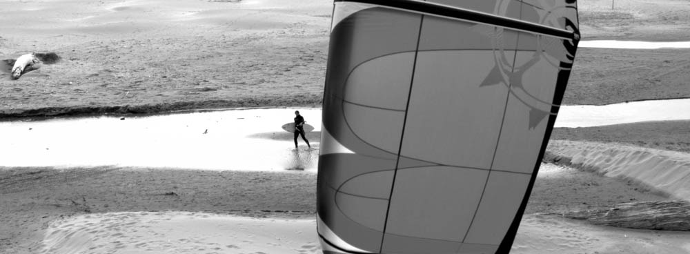 Reed - Photo Andy B.