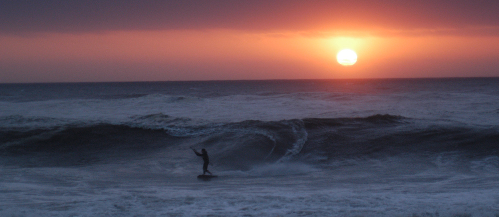 Reed - Photo Andy Bolt