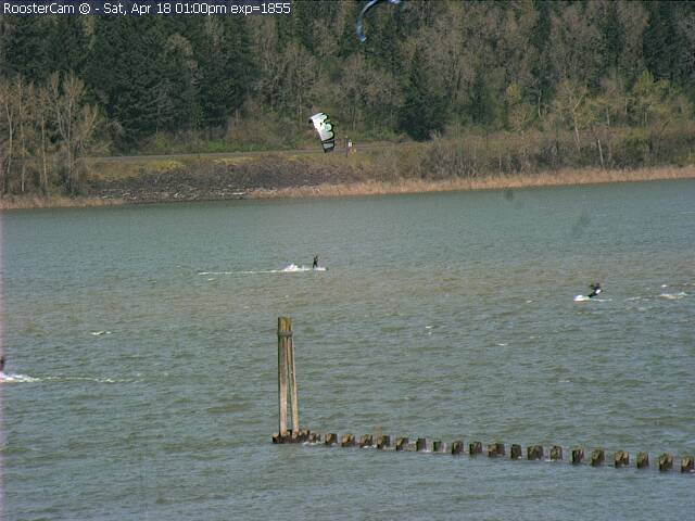 RoosterCam - Sat, Apr18th at 1PM