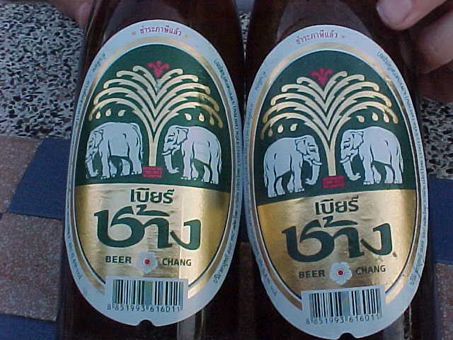 a rare elephant following elephant