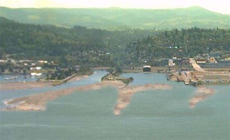 PRO POOL / NEWBIE POOL