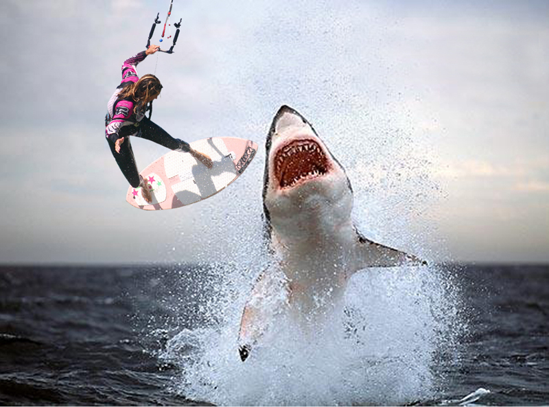 Sharks Attacking People Sharks Attacking People