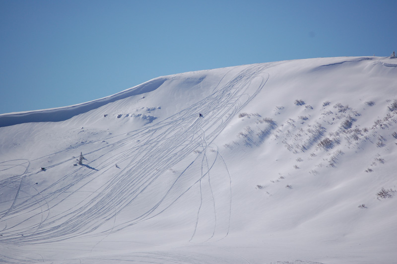 Slednecks Unite