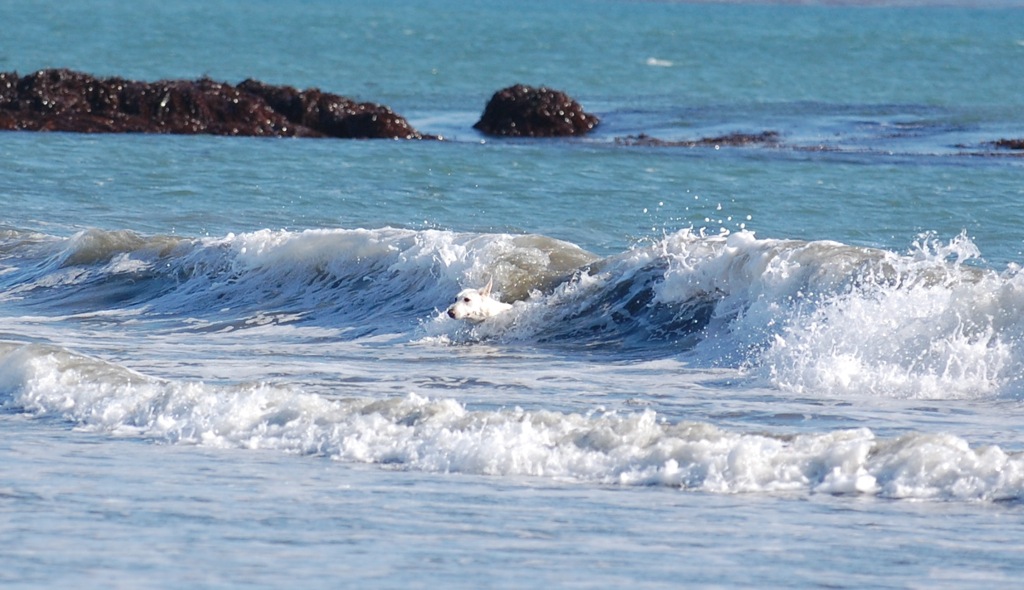 Body surf sesh