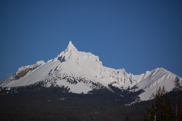 Bluebird Mt. Thielson