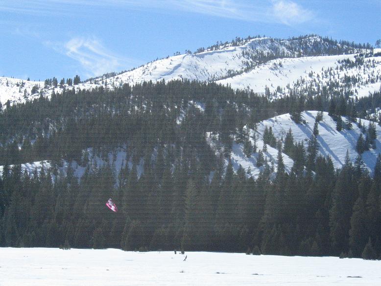 sorry for the grainy shot, full zoom..