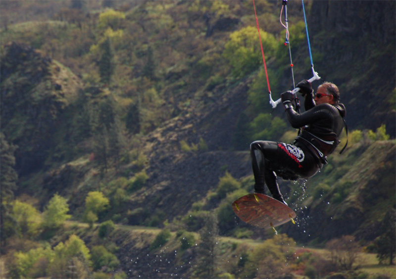 Rollo in action, sweet board