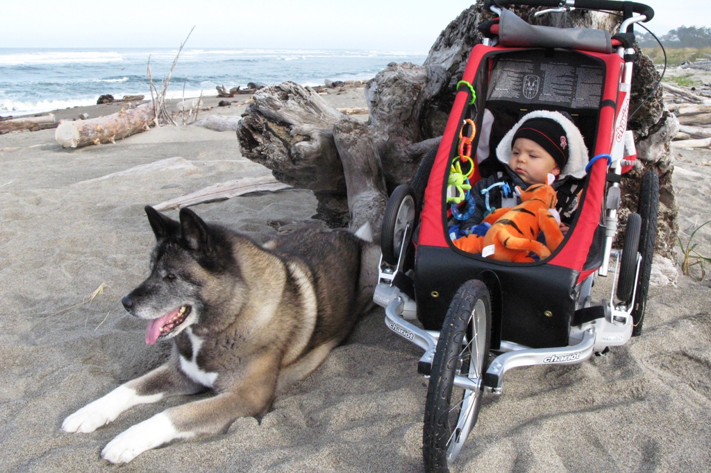 Wave watching at the Oregon coast